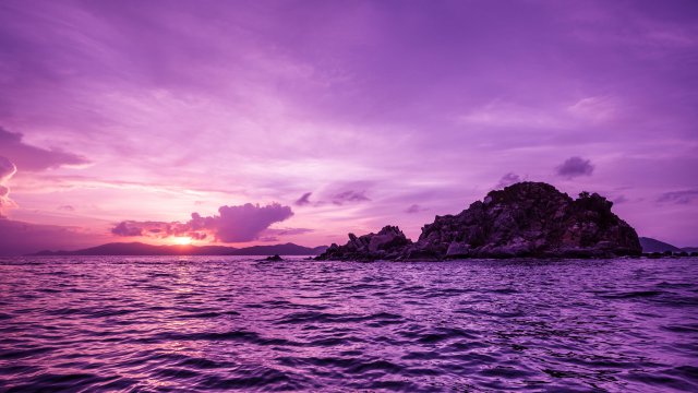 Fondos purpura